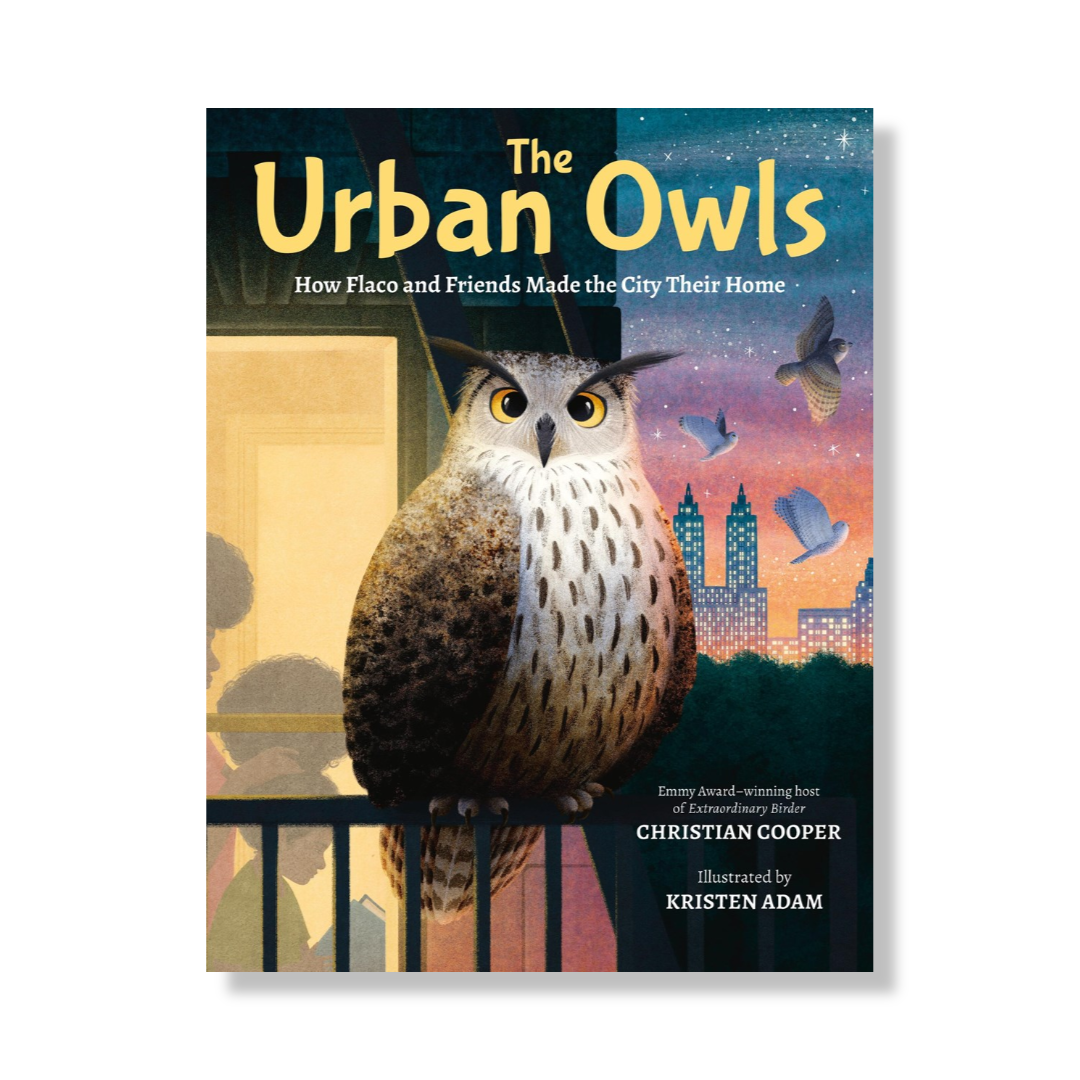 The Urban Owls : How Flaco and Friends Made the City Their Home