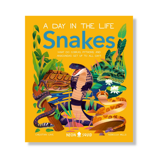 Snakes (A Day in the Life) : What Do Cobras, Pythons, and Anacondas Get Up to All Day?