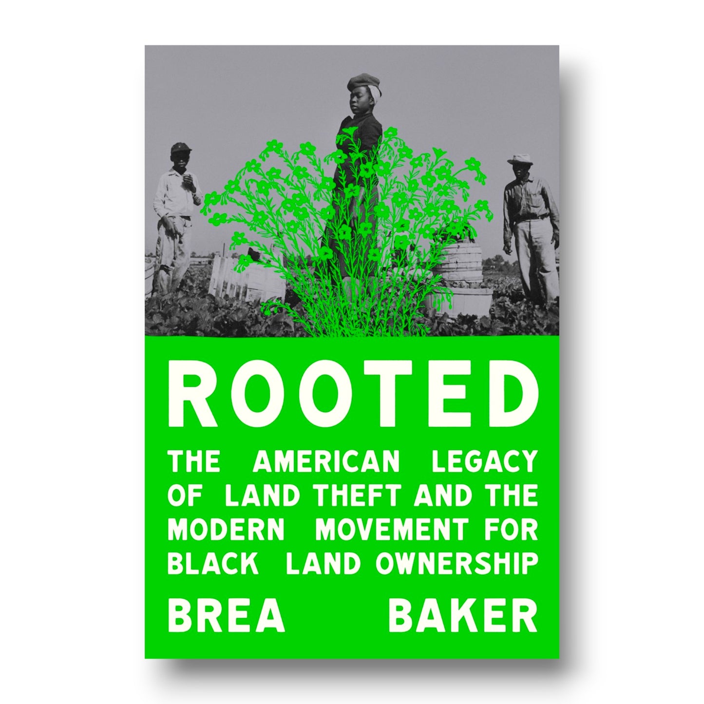 Rooted : The American Legacy of Land Theft and the Modern Movement for Black Land Ownership